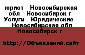 юрист - Новосибирская обл., Новосибирск г. Услуги » Юридические   . Новосибирская обл.,Новосибирск г.